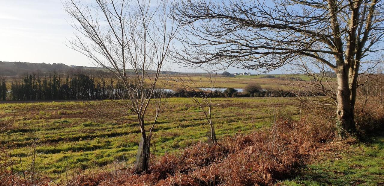 50 M2, Calme, Marche A Pied, Proche Apartment Guidel